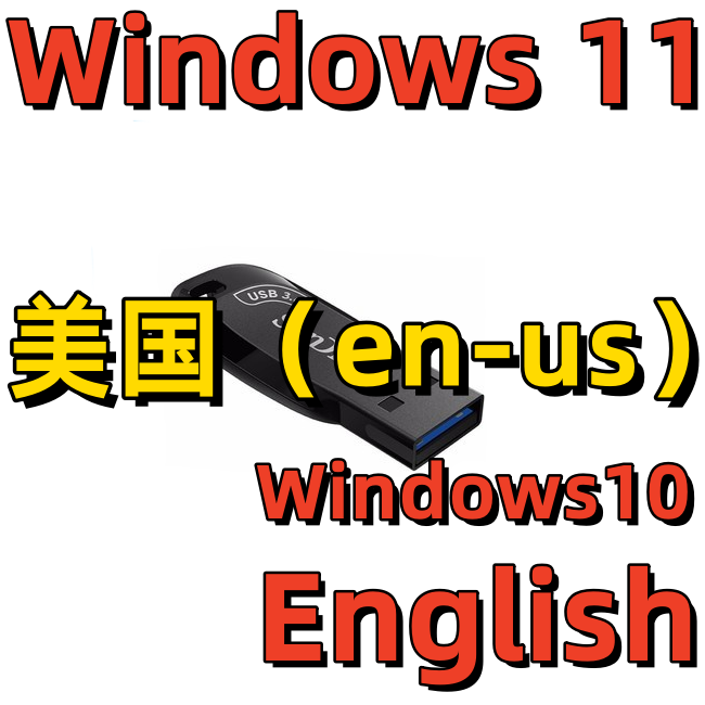 Word英语Excel PS CAD英文Windows 11系统安装版U盘Win 10 Office