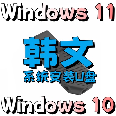 windows 10 win 11 韩语韩文 专业版 企业ltsc office系统安装u盘