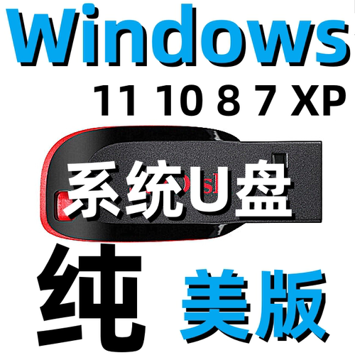 windows 11 win 10 8 7 XP 英文 英语版 系统安装 u盘 优盘
