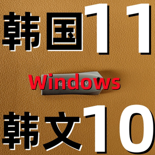 windows 10 纯净 win 11 韩语韩国 韩文 韩版系统iso 安装版u盘