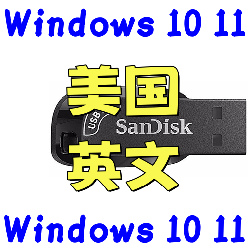 美版 英文 英语 系统安装盘 windows 10 win 11 office 2021 2024