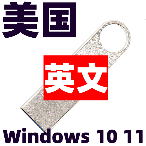 英语英文 win 10 系统11安装u盘office 2021 2024 Word Excel PPT