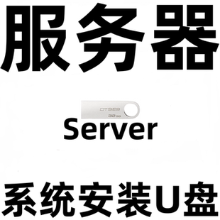 服务器 纯净系统安装 Win 11 10 Server 2025 2022 2019 2016 U盘
