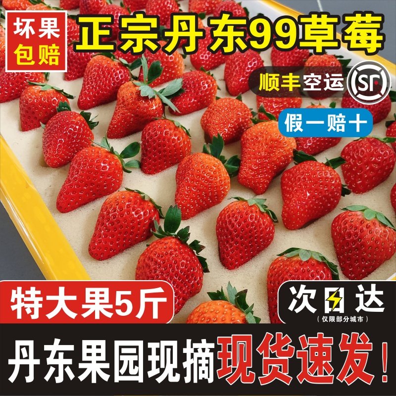 正宗丹东99草莓特大九九当季新鲜孕妇水果现摘现发真空装顺丰包邮