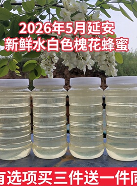 延安槐花蜂蜜2026年水白色农家自产新鲜成熟洋槐花蜂蜜儿童