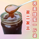 荞麦蜂蜜农家甘肃封盖成熟深色黑蜜一斤结晶乔麦花蜜