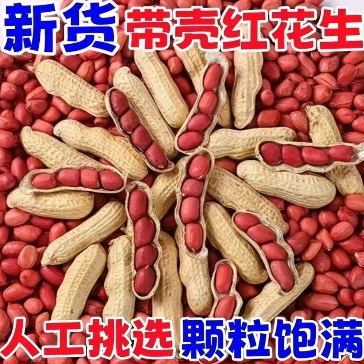 2026年红皮生花生带壳晒干农家自产新货壳薄种子高产红皮花生米