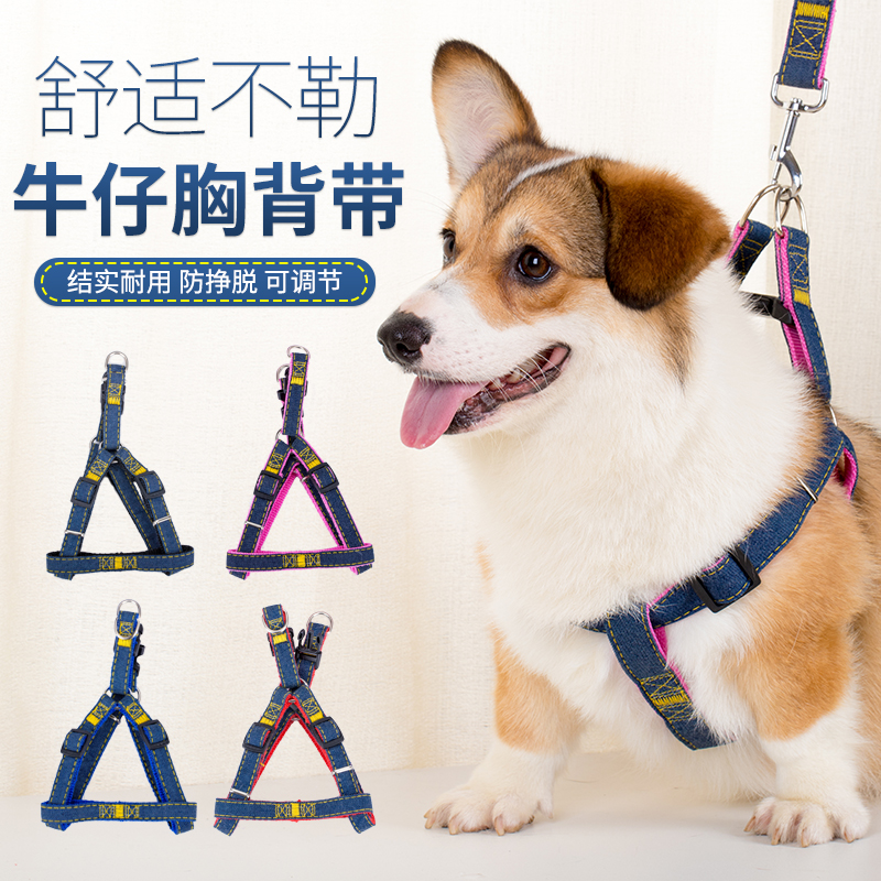 牛仔狗狗牵引绳小型犬胸背带狗带遛狗绳子泰迪狗链子项圈宠物用品