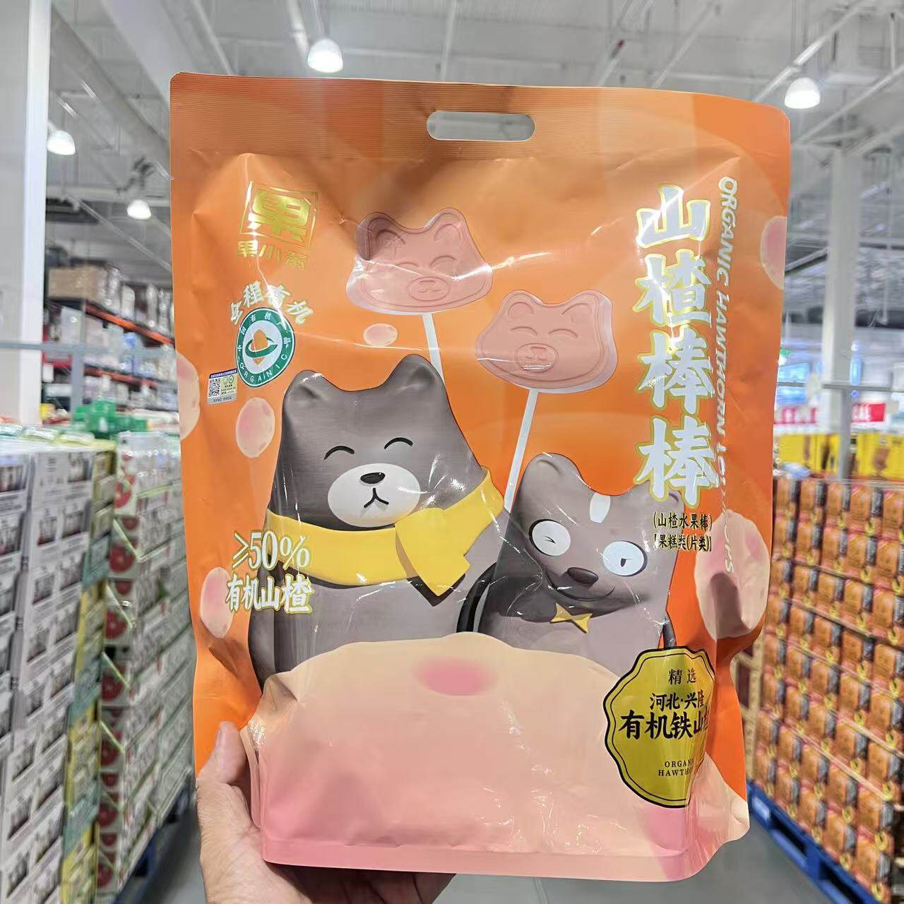 小熊造型有机铁山楂棒棒糖750g礼袋装独立小包装小零食