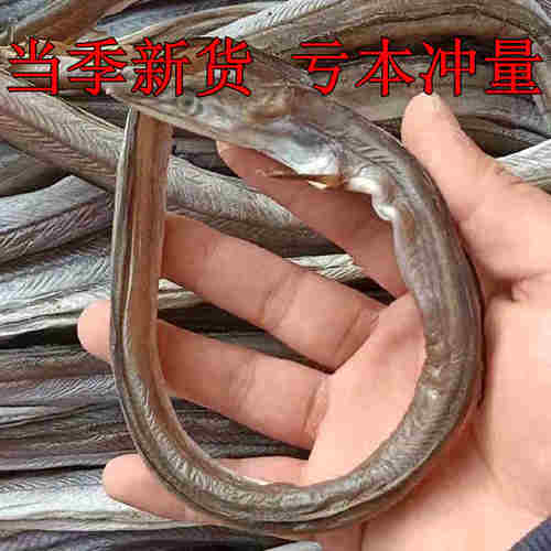 500g渔民自晒整条海鲜鳗鱼干