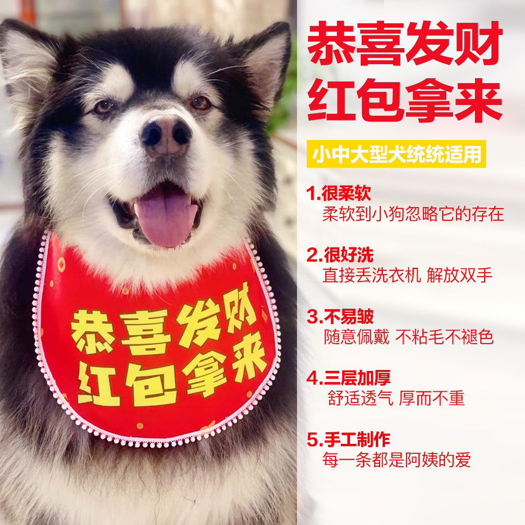 恭喜发财红包拿来 宠物狗狗新年过年讨红包围巾口水巾大型犬 金毛