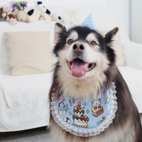 原创狗狗生日装扮狗狗口水巾