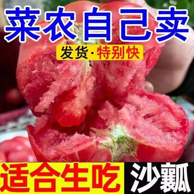 露天大西红柿新鲜蔬菜农家小番茄孕妇水果自然熟3斤5斤10斤