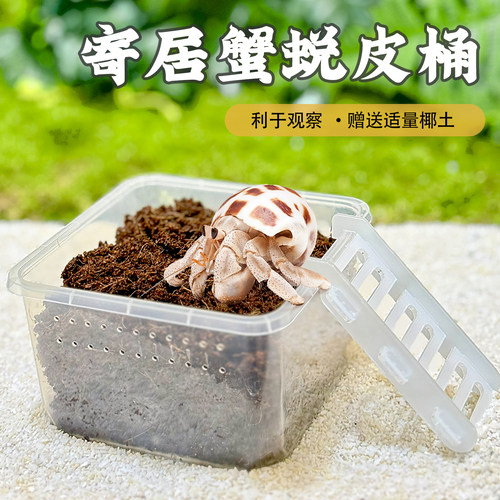 寄居蟹蜕皮桶套装迷你隔离盒攀爬梯子椰土辅加高防打扰助脱皮缸