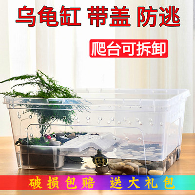 塑料乌龟缸龟饲养箱带盖