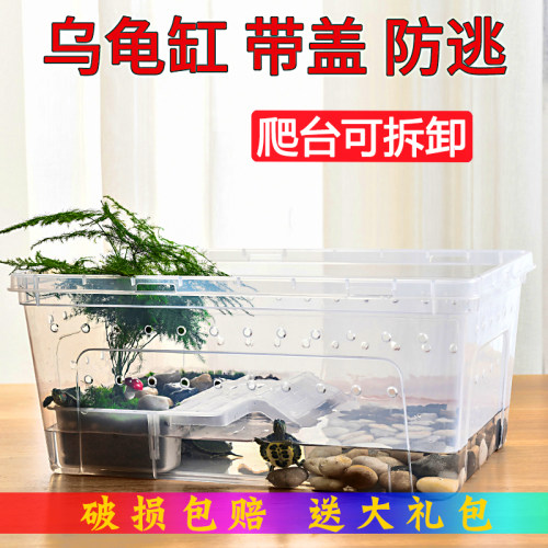 塑料乌龟缸龟饲养箱带盖