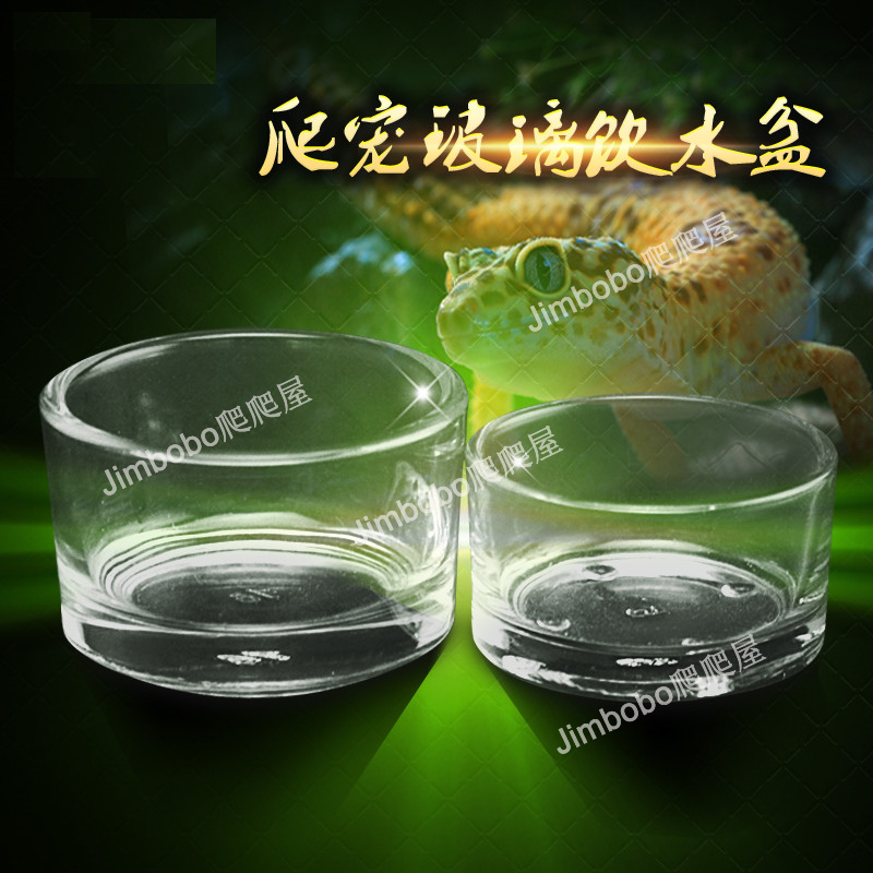 爬虫食盆守宫食盆玻璃水盆