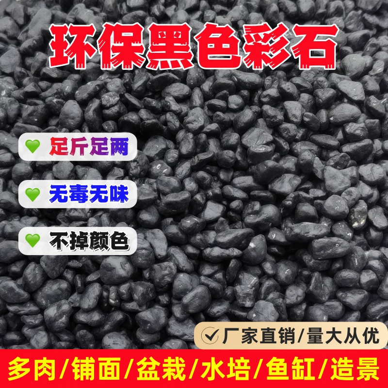 黑色石子五彩石盆栽铺面石多肉水培鱼缸造景装饰天然七彩石鹅卵石