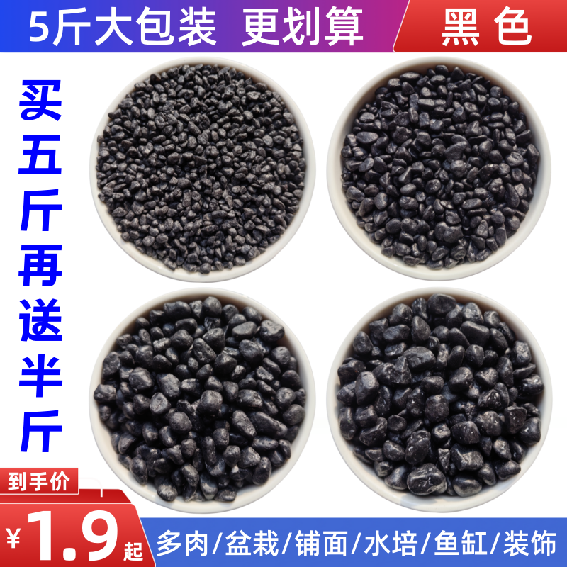 黑色石子五彩石盆栽铺面石多肉水培鱼缸造景装饰天然七彩石鹅卵石