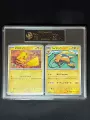 10-Point Rating Card / Pikachu Rayquaza Black