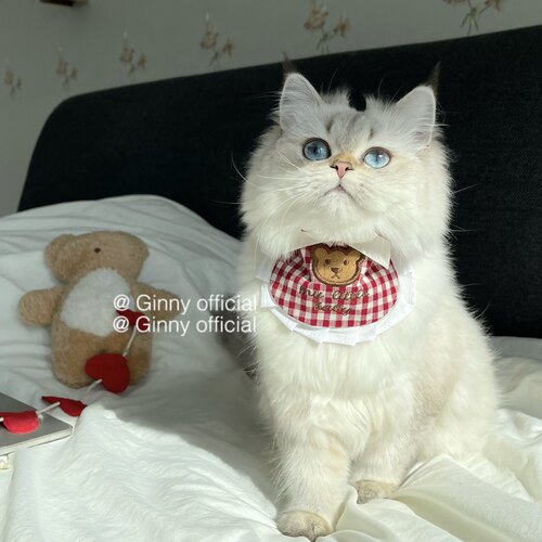 ins小熊刺绣宠物口水巾猫狗围脖