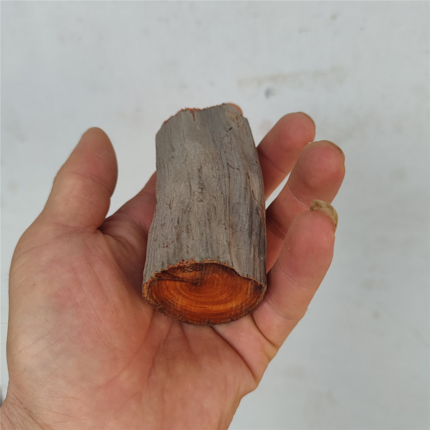 手把件太行崖柏毛料陈化黑油奶香虎皮纹手串天然风化原木弹弓根雕