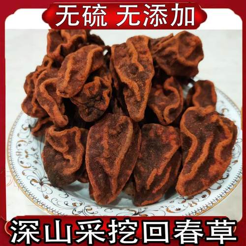 云南回春草正宗深山采挖不老草顶天柱正品干货500g可泡酒泡茶