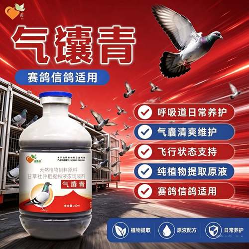 气囊青赛鸽信鸽专用纯植物提取呼吸道气囊养护飞行支持250ml
