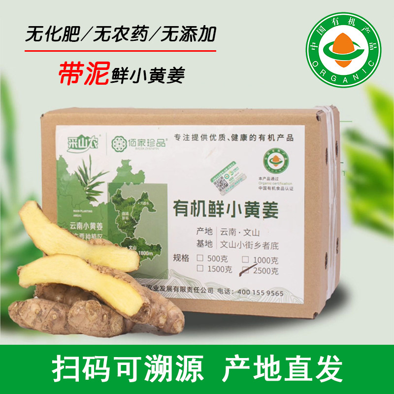 有机小黄姜新鲜带泥云南
