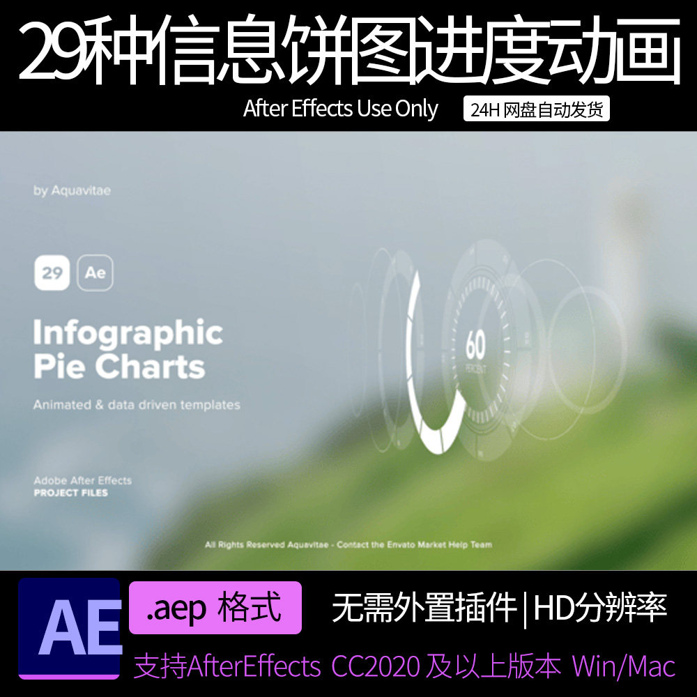 AE模板 29种信息数据饼图进度读取图表动画 AE素材模板