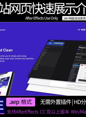 A模板 网站网页快速展示介绍动画  AE素材模板