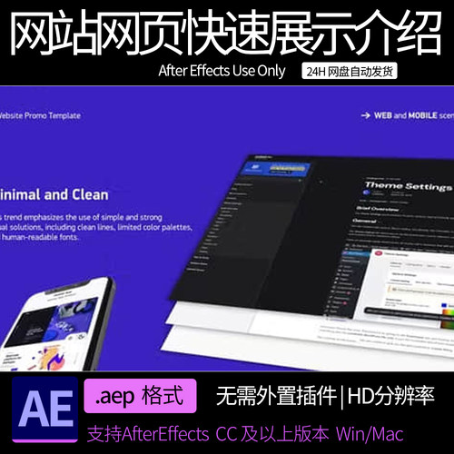 A模板 网站网页快速展示介绍动画  AE素材模板
