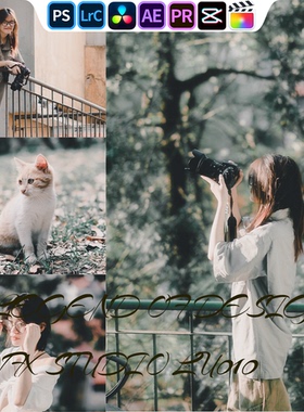 SYS206 情绪棕风光｜lr预设PR滤镜PS达芬奇LUTs达芬奇剪映FCP