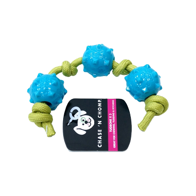 caitec益智投掷柔软无声宠物玩具