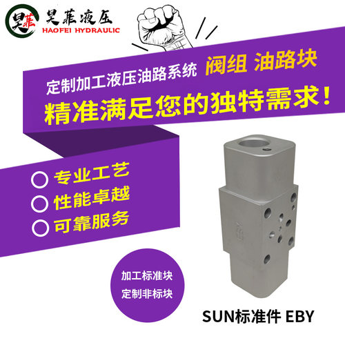 SUN标准阀块EBY可定制非标油路多路阀块挖机吊车EBY/S双向液压锁