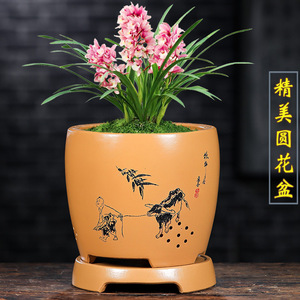 君子兰花盆 紫砂花盆 精品手工花盆 兰花花盆 桌面家用花盆带底座