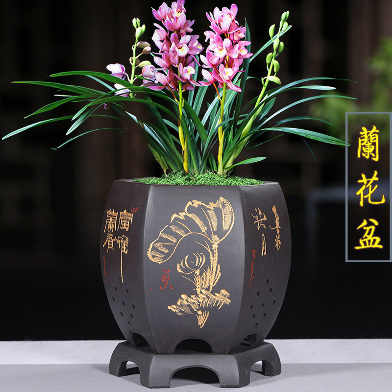 紫砂盆君子兰花盆六方精品高档花盆带底座兰花花盆桌面绿植古典盆-封面