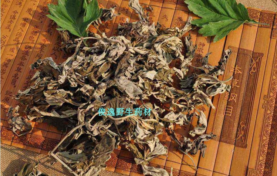 原生态中草药艾叶 陈艾草干品 足疗泡脚洗澡 纯艾叶500克