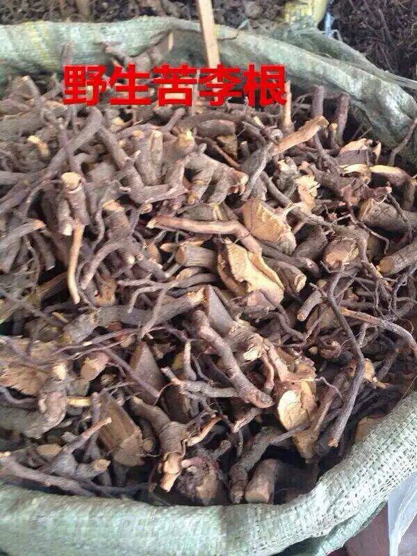 野生中药材睇牛仔根 苦李脚根 苦李根 睇牛儿根 黎辣根 干品货