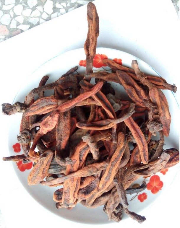 中草药材回春草  不老草 顶天柱 蛇菇  草苁蓉  药膳煲汤泡酒