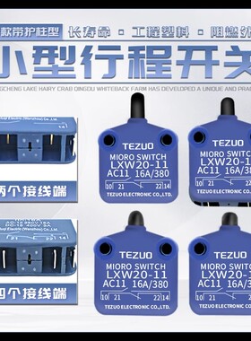 特佐微动开关LXW20-11 01 10 M按压式推压磁吹开关柜子门行程限位