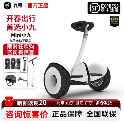 Ninebot九号迷你平衡车小九儿童成人智能体感手扶腿控代步车