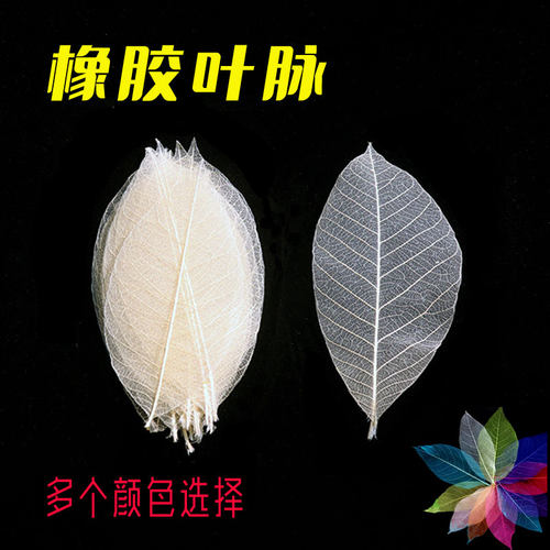 橡胶工艺相框叶脉拍照画花标本