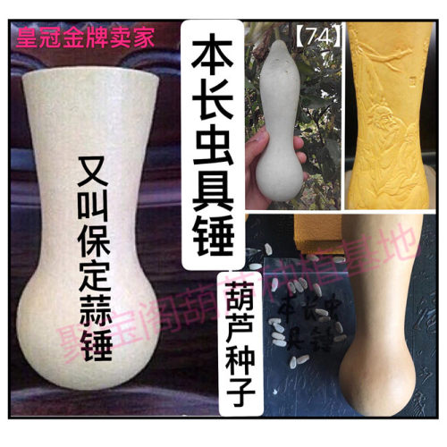 本长虫具锤葫芦种子蝈蝈蛐蛐