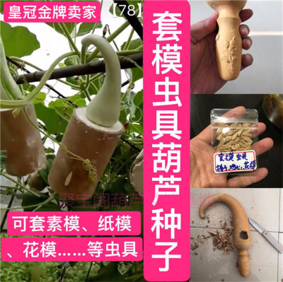 虫具套膜素模棒子鸡心葫芦