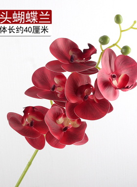 高档PU蝴蝶兰仿真花假花仿真花卧室客厅酒店前台茶几装饰摆件