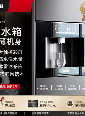 国补立减20%Reg雷哲V100嵌入式饮水机净水器家用0阻垢净饮机冰水