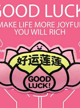 沙发抱枕居家办公小众好运