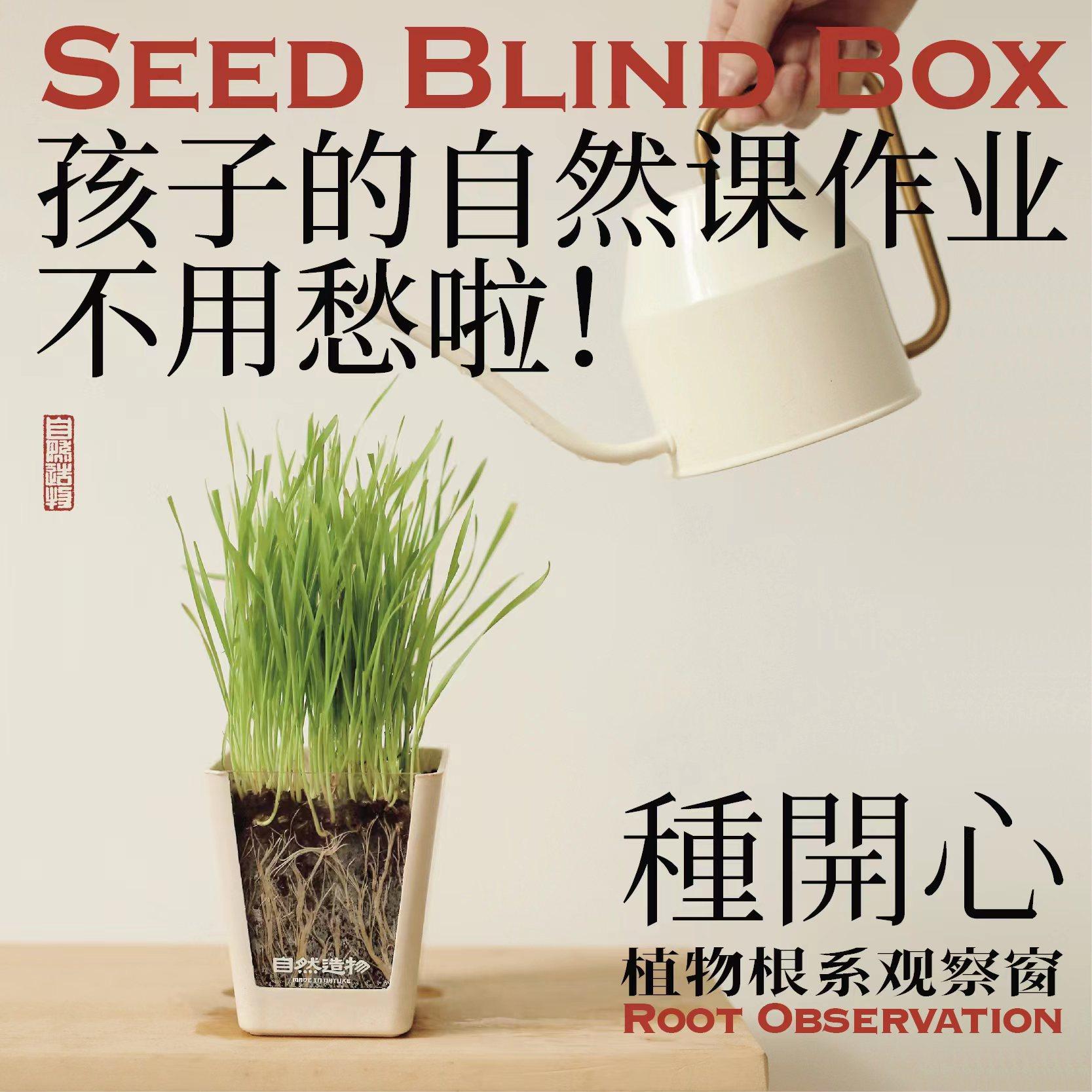 自然造物盲盒绿植室内桌面盆栽植物好养培养观察盒创意节日礼物,节庆用品/礼品,创意礼盒/礼品套组,淘宝优惠券,粉丝福利购,淘宝优惠卷