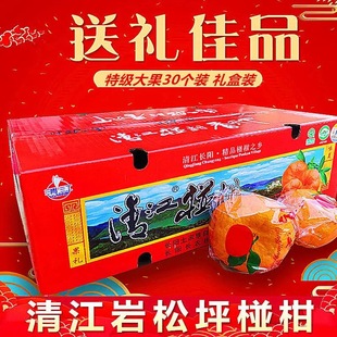 椪柑湖北特产宜昌新鲜水果柑清江香甜可口橙子甜丑桔10斤当季包邮